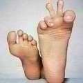 c le pied